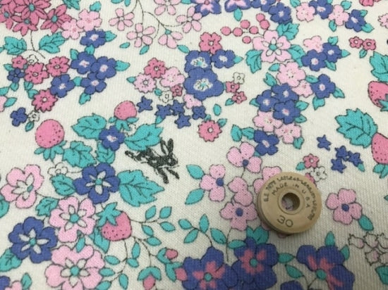 24/-CM裏毛ニット フルーツカシェモア柄ナイトミスト