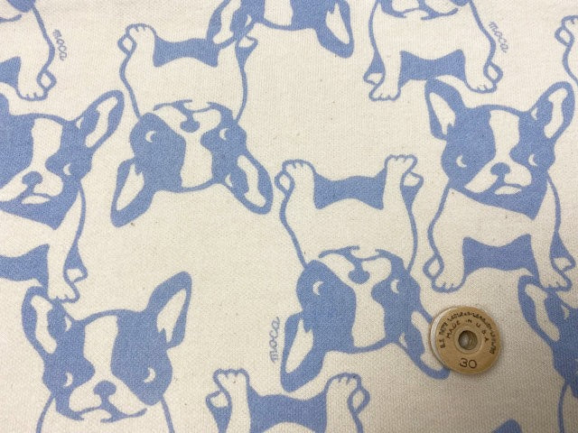 40/20ミニ裏毛ニット フレンチブルちゃん柄エクリュ×スノーブルー